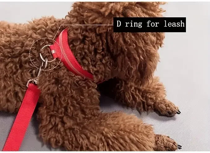 LED Safety Collar For Dogs - Adjustable, Flashing Glow For Night Walking
