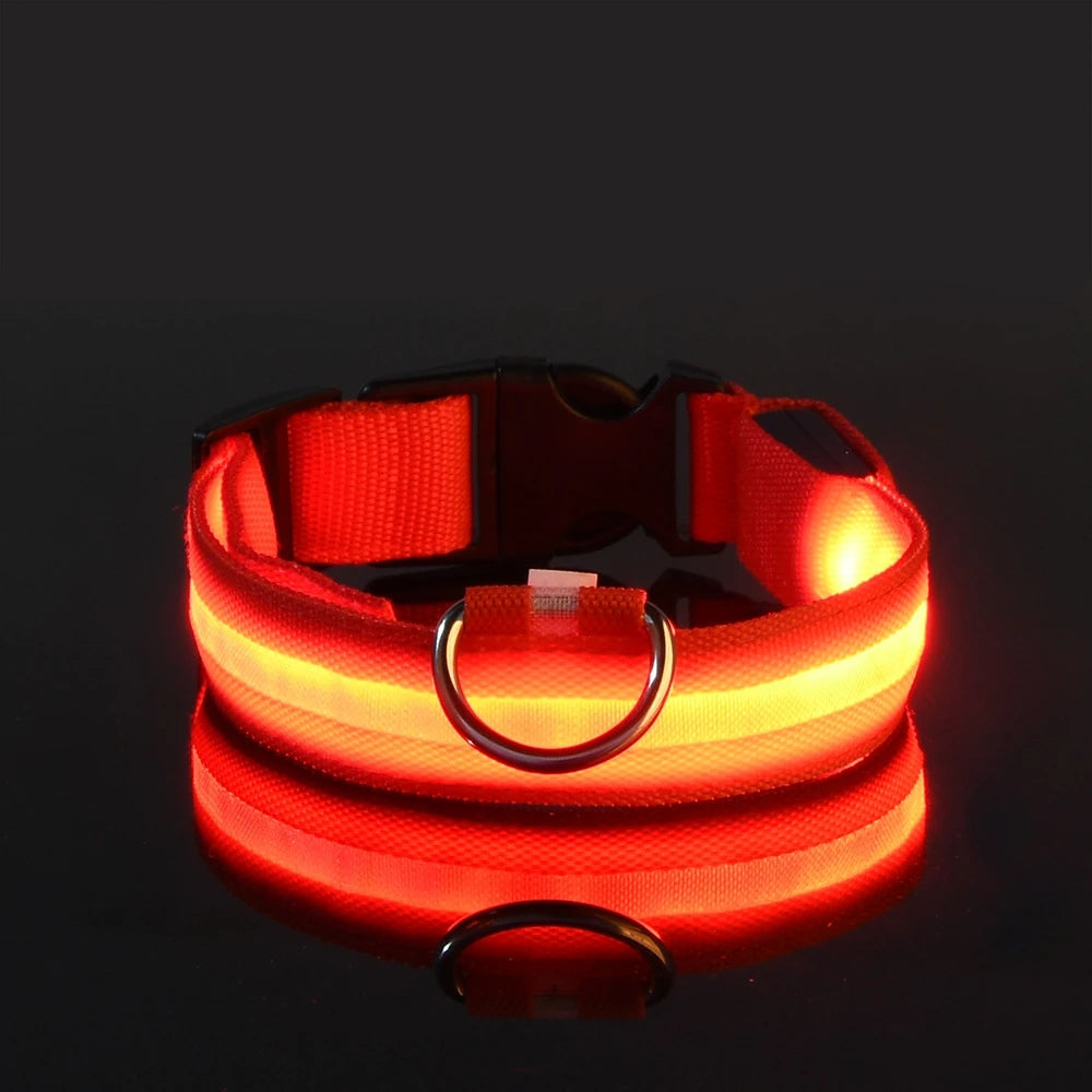 LED Safety Collar For Dogs - Adjustable, Flashing Glow For Night Walking