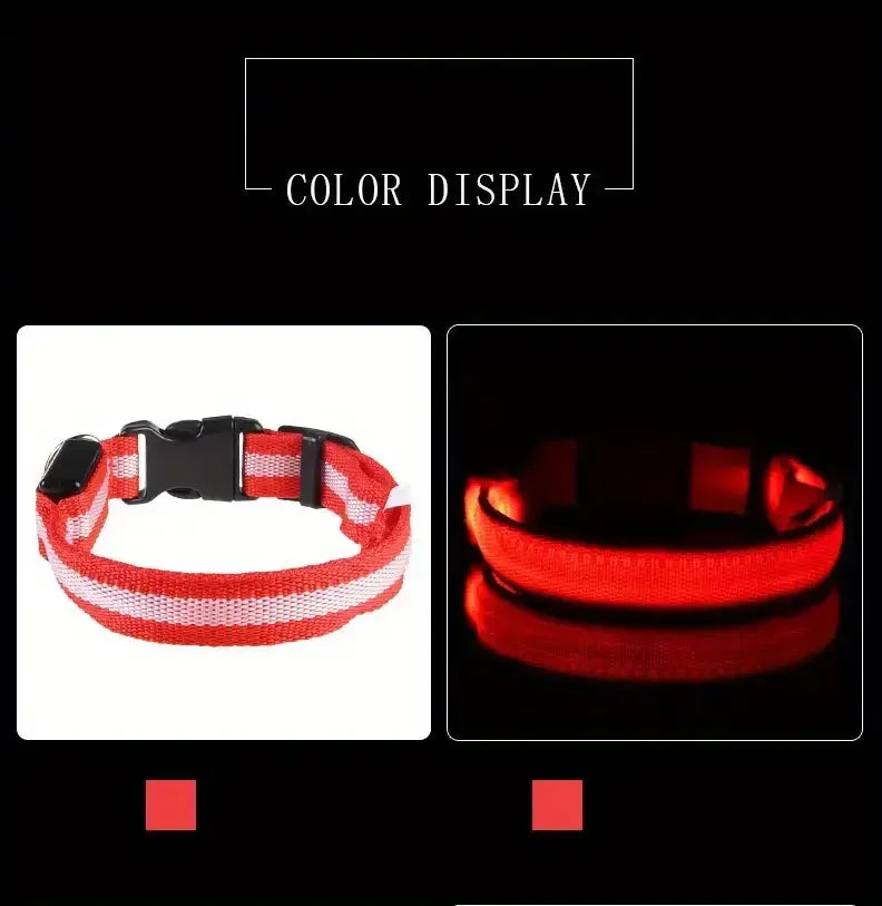 LED Safety Collar For Dogs - Adjustable, Flashing Glow For Night Walking