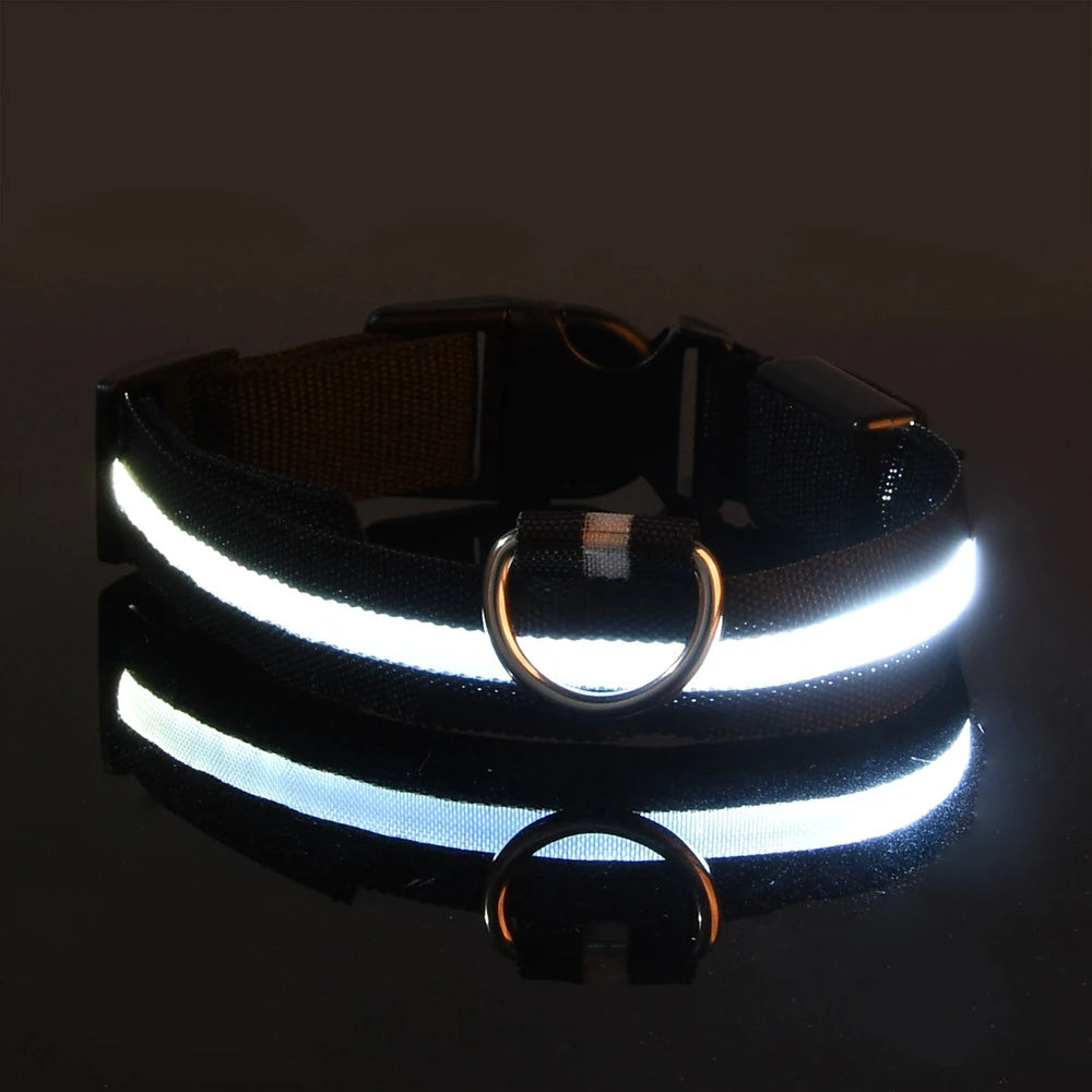 LED Safety Collar For Dogs - Adjustable, Flashing Glow For Night Walking
