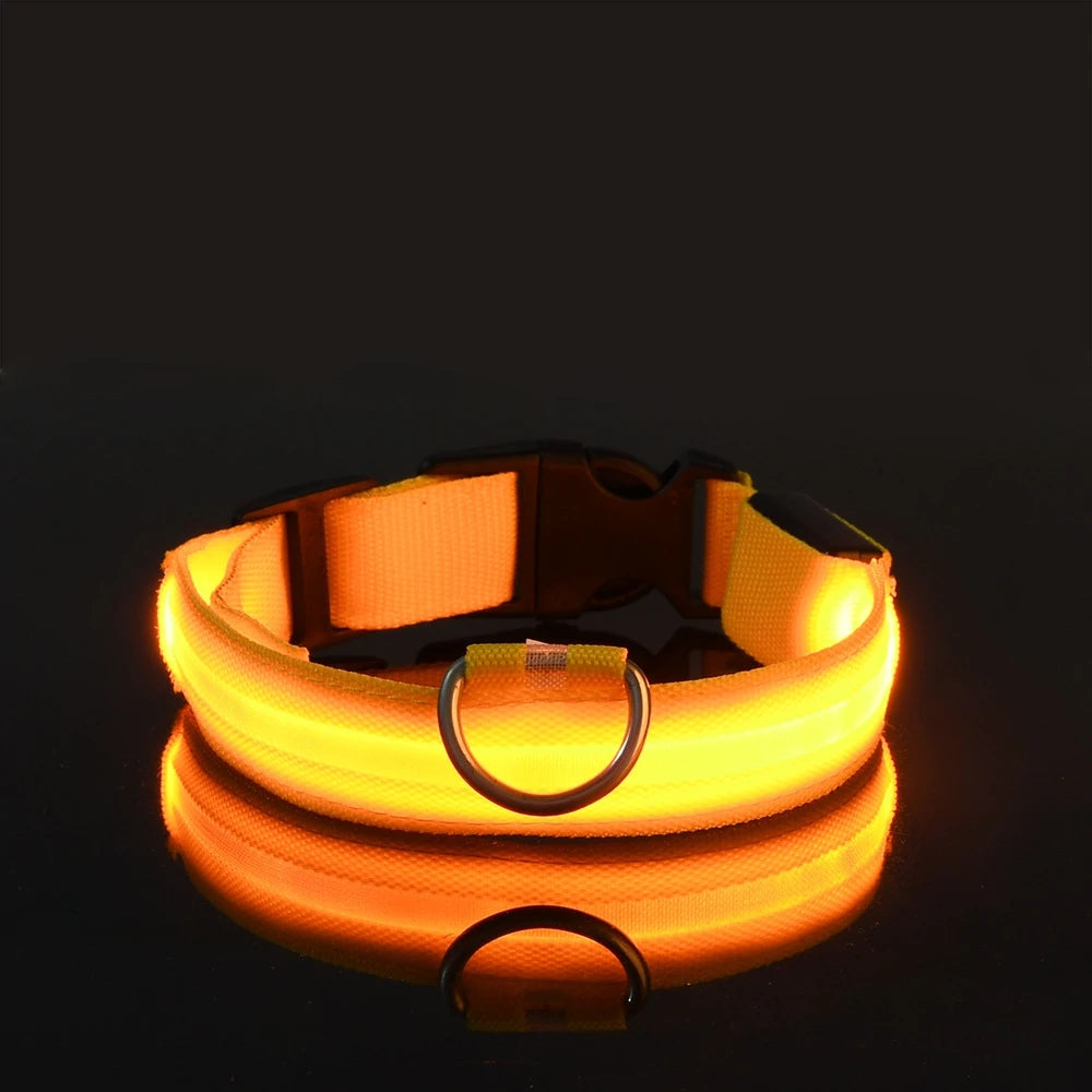 LED Safety Collar For Dogs - Adjustable, Flashing Glow For Night Walking