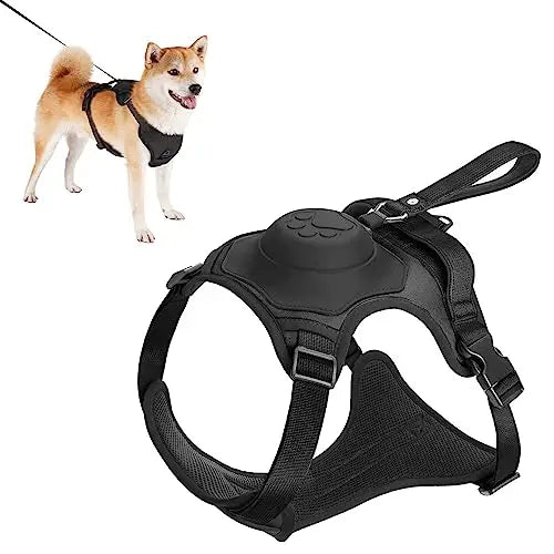 Dog Harness and Retractable Leash