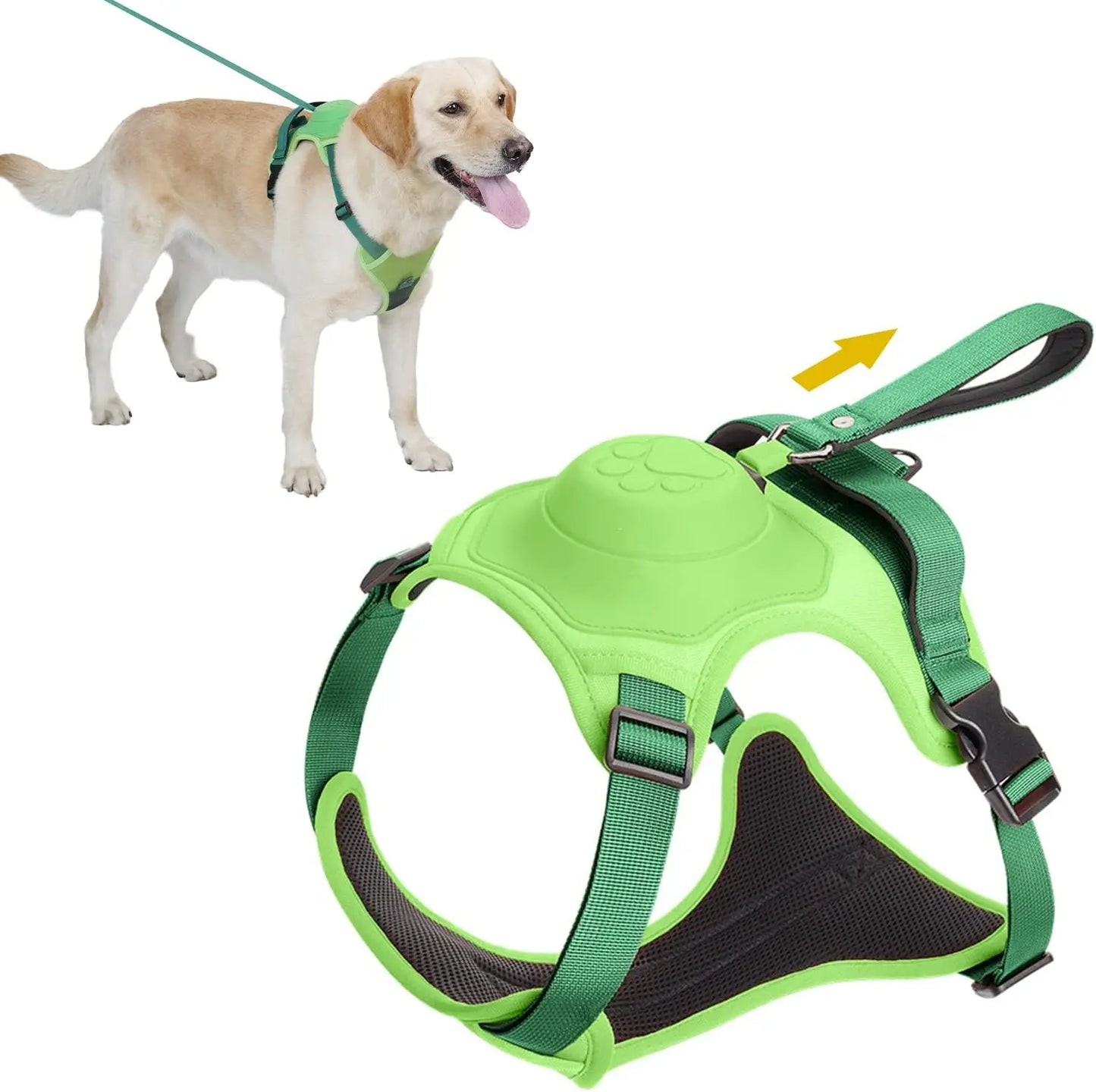 Dog Harness and Retractable Leash