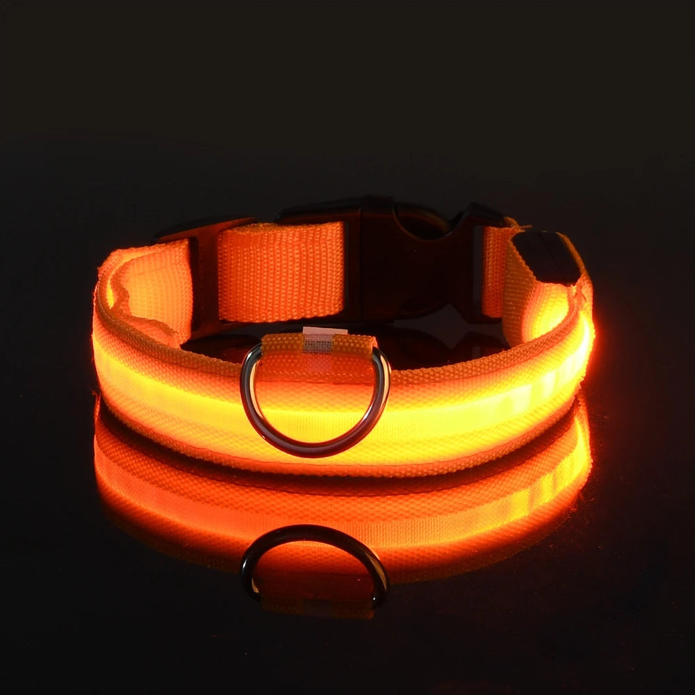 LED Safety Collar For Dogs - Adjustable, Flashing Glow For Night Walking