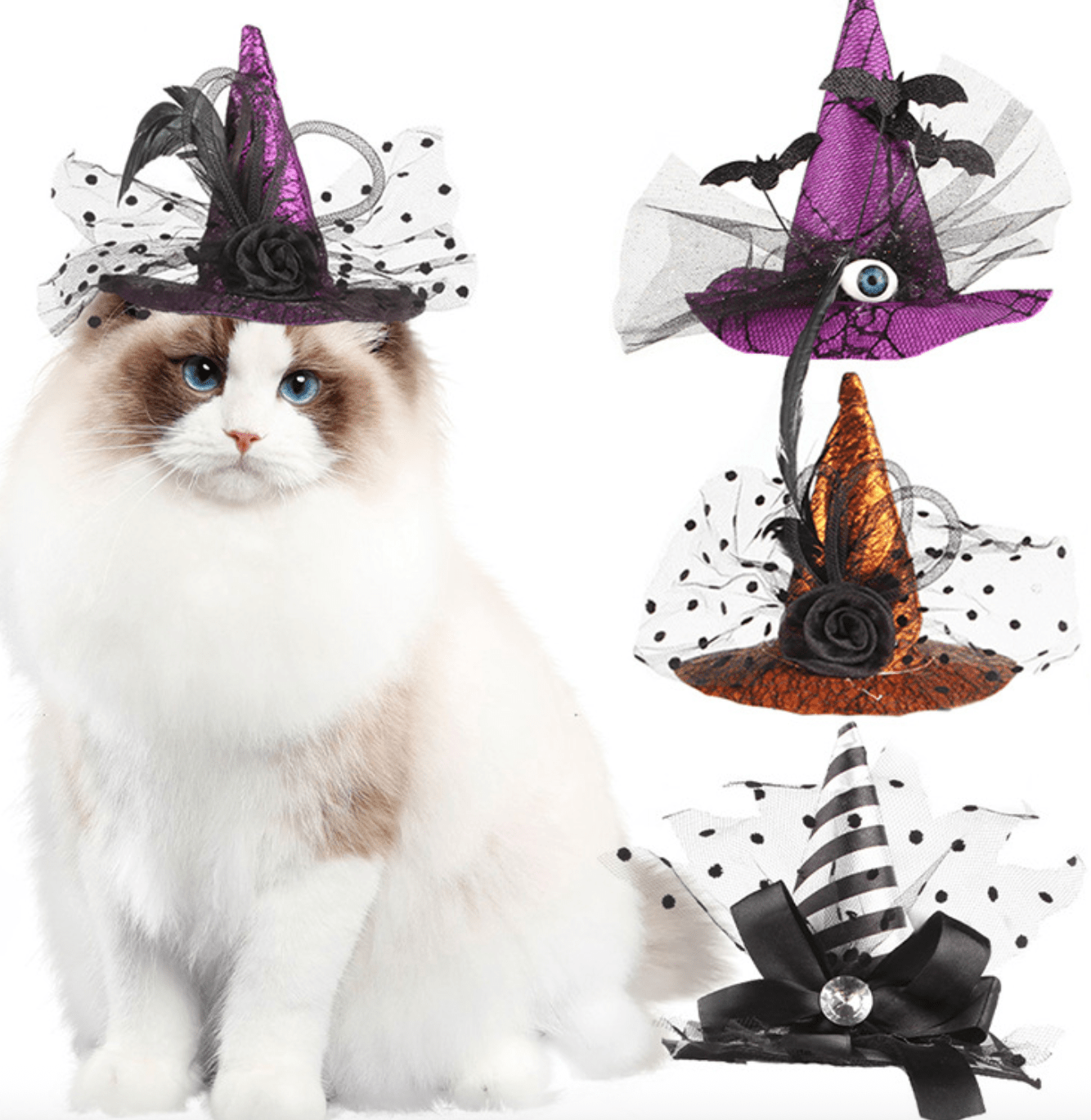 Spooky Pet Witch Hat - Perfect for Halloween