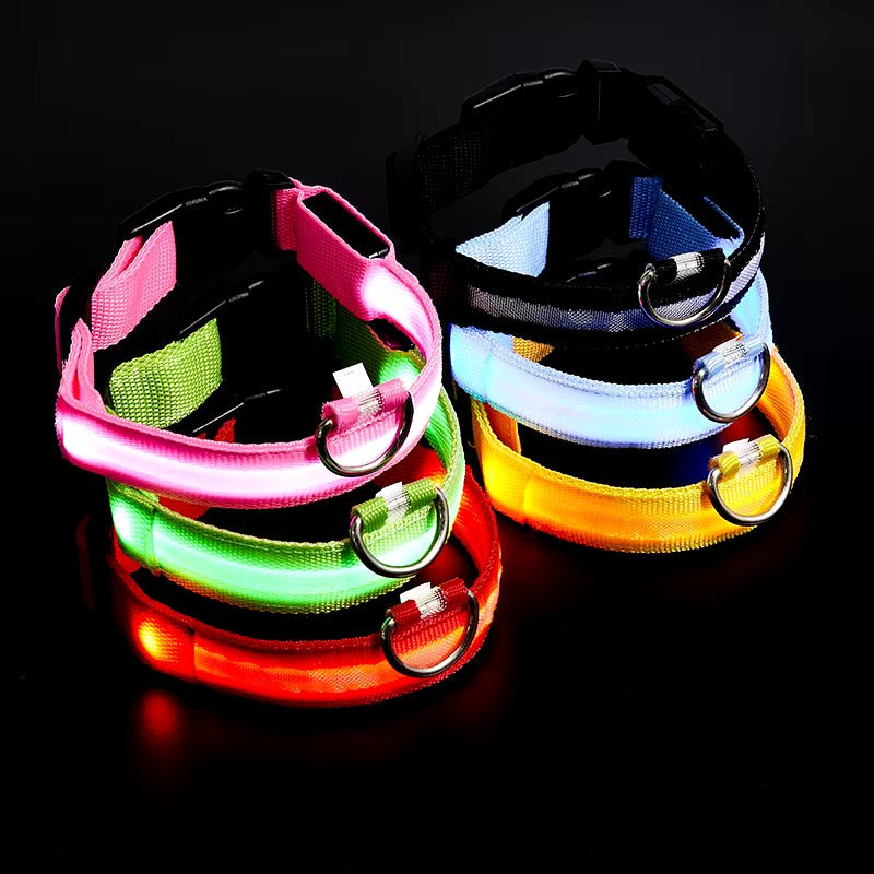 Pet collar dog usb charging screen LED light-emitting