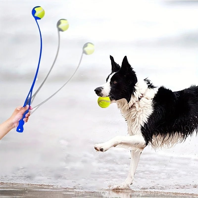 Pet Tennis Ball Launcher Stick - Interactive