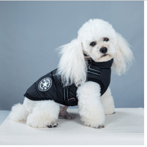 waterproof winter jacket with integrated harness Black S