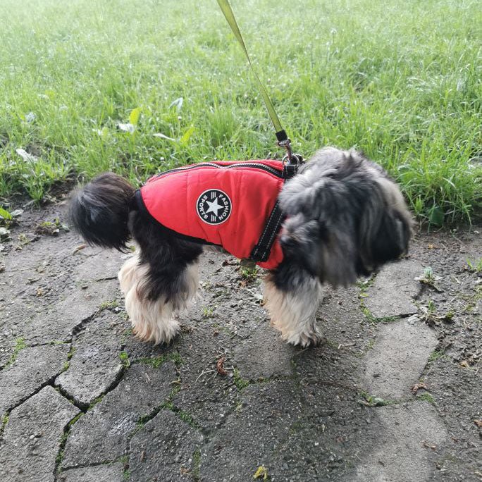 waterproof winter jacket with integrated harness