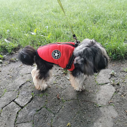 waterproof winter jacket with integrated harness