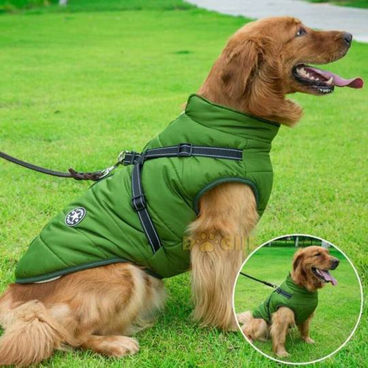 waterproof winter jacket with integrated harness