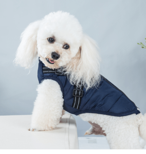 waterproof winter jacket with integrated harness Blue S